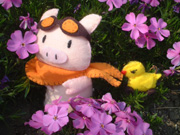 トーリちゃん誕生